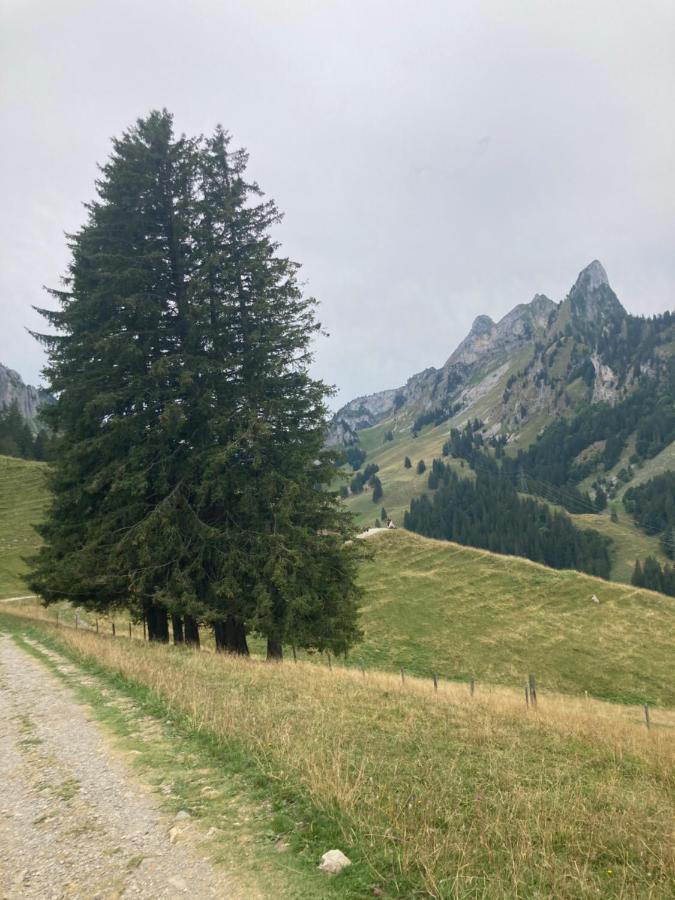 Chalet Alte Post Bad-Schwarzsee Zewnętrze zdjęcie